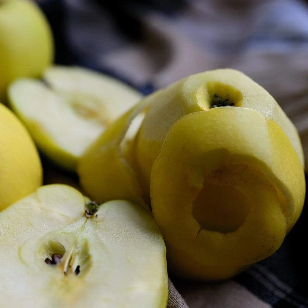 Herefordshire Russet Apple Tree - Image 3